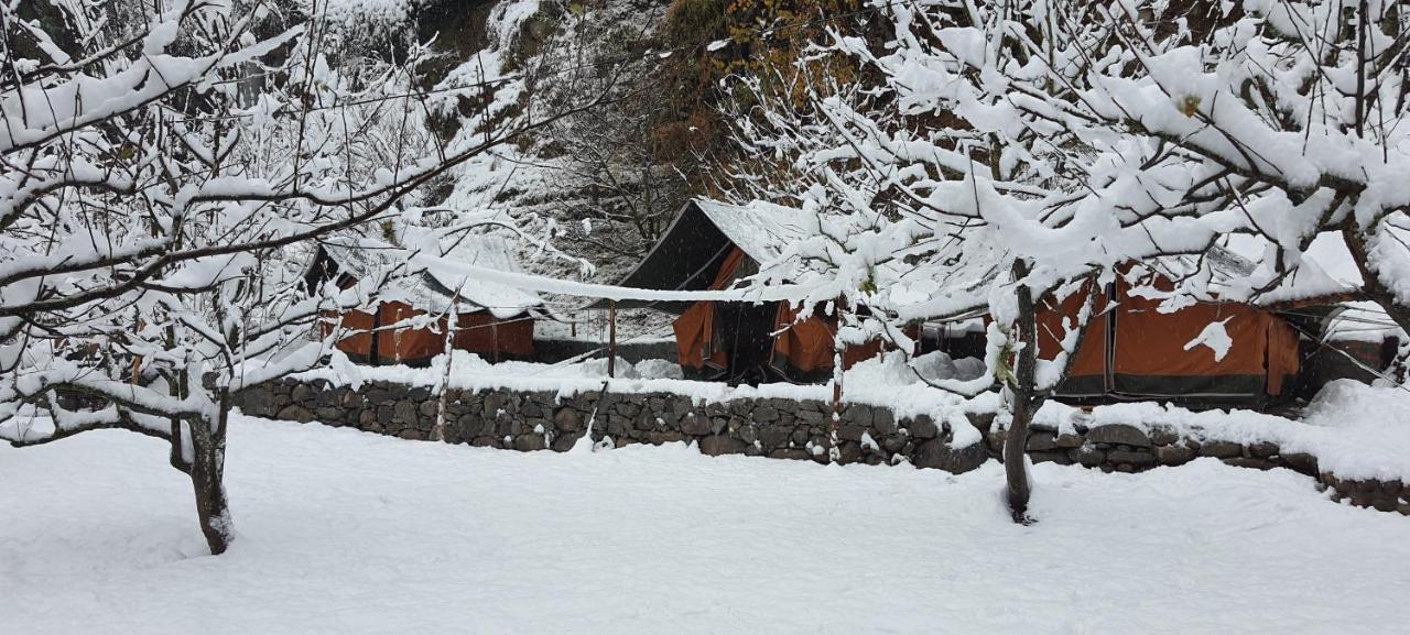 Himtrek Riverside Camps & Hostel Manali Ngoại thất bức ảnh