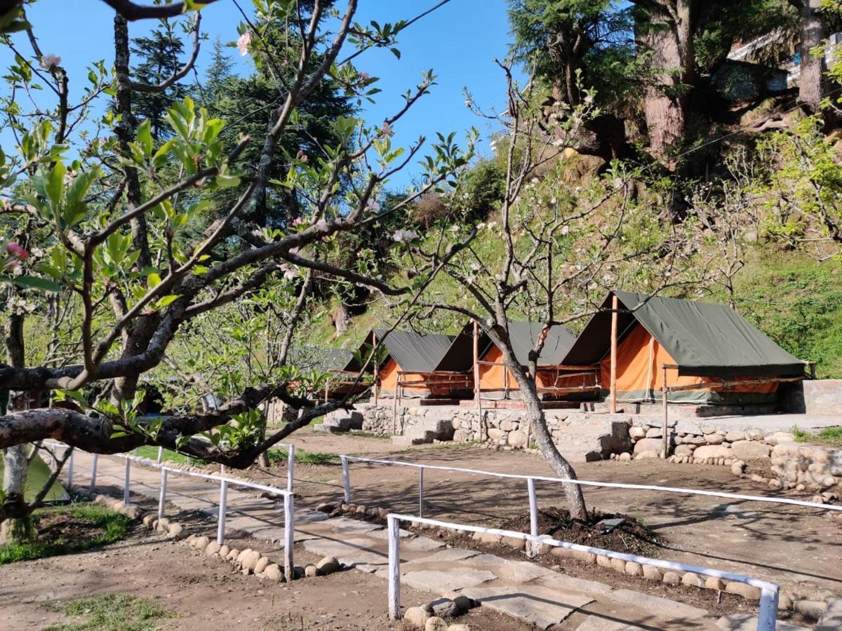 Himtrek Riverside Camps & Hostel Manali Ngoại thất bức ảnh