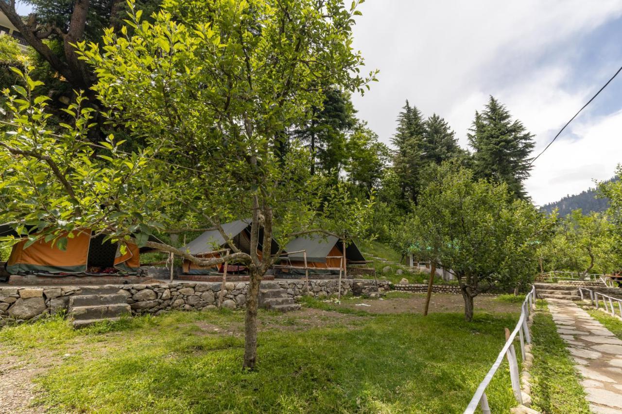 Himtrek Riverside Camps & Hostel Manali Ngoại thất bức ảnh