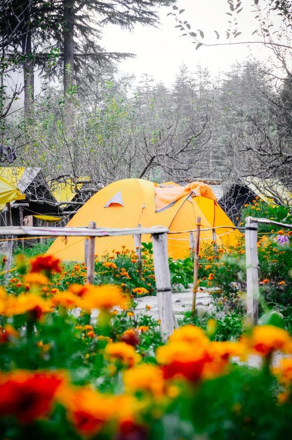 Himtrek Riverside Camps & Hostel Manali Ngoại thất bức ảnh