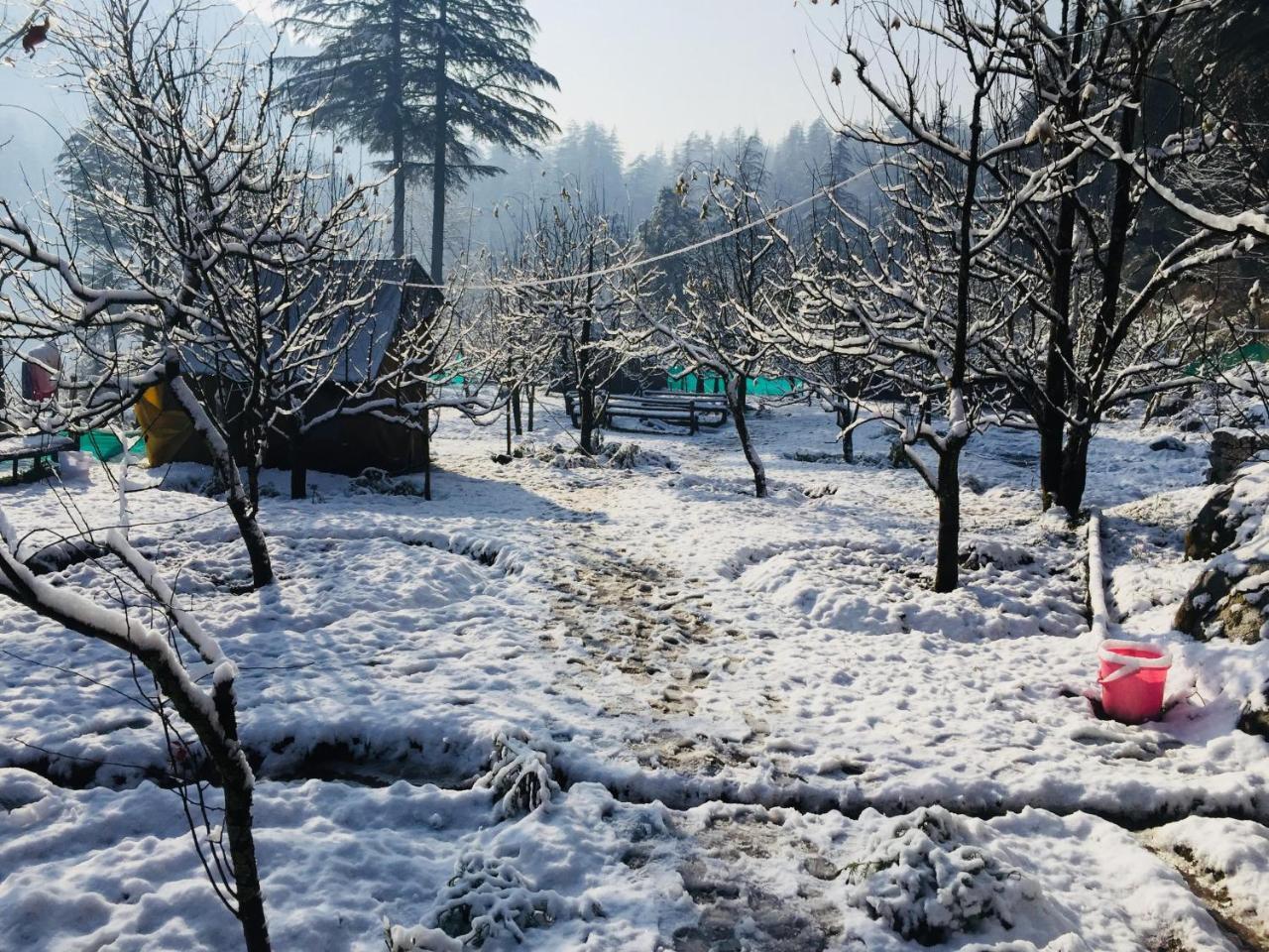 Himtrek Riverside Camps & Hostel Manali Ngoại thất bức ảnh