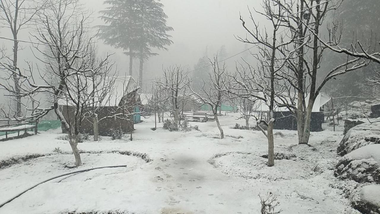 Himtrek Riverside Camps & Hostel Manali Ngoại thất bức ảnh